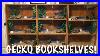 Gecko_Bookshelf_Diy_Leopard_Gecko_Enclosure_01_aga